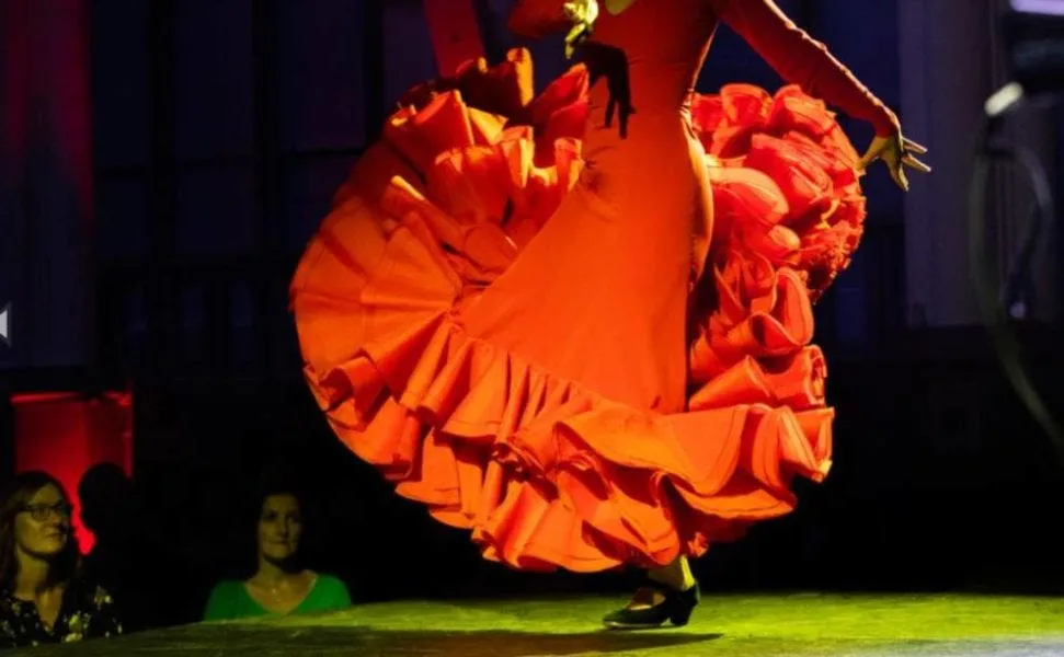 El Alma Vibrante del Flamenco