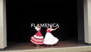 Academia de ExpoFlamenco ya disponible para todos out-0-131